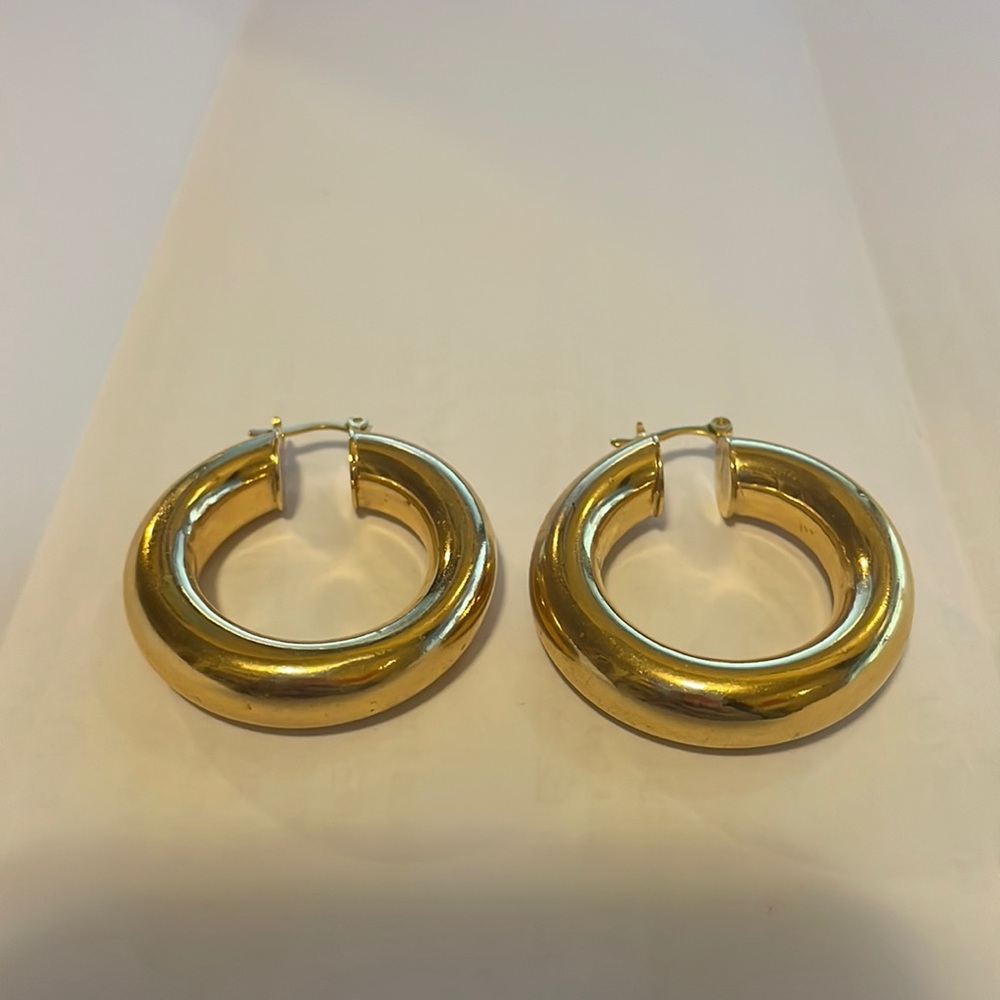 Bianca Milov Chunky Hoop Earrings